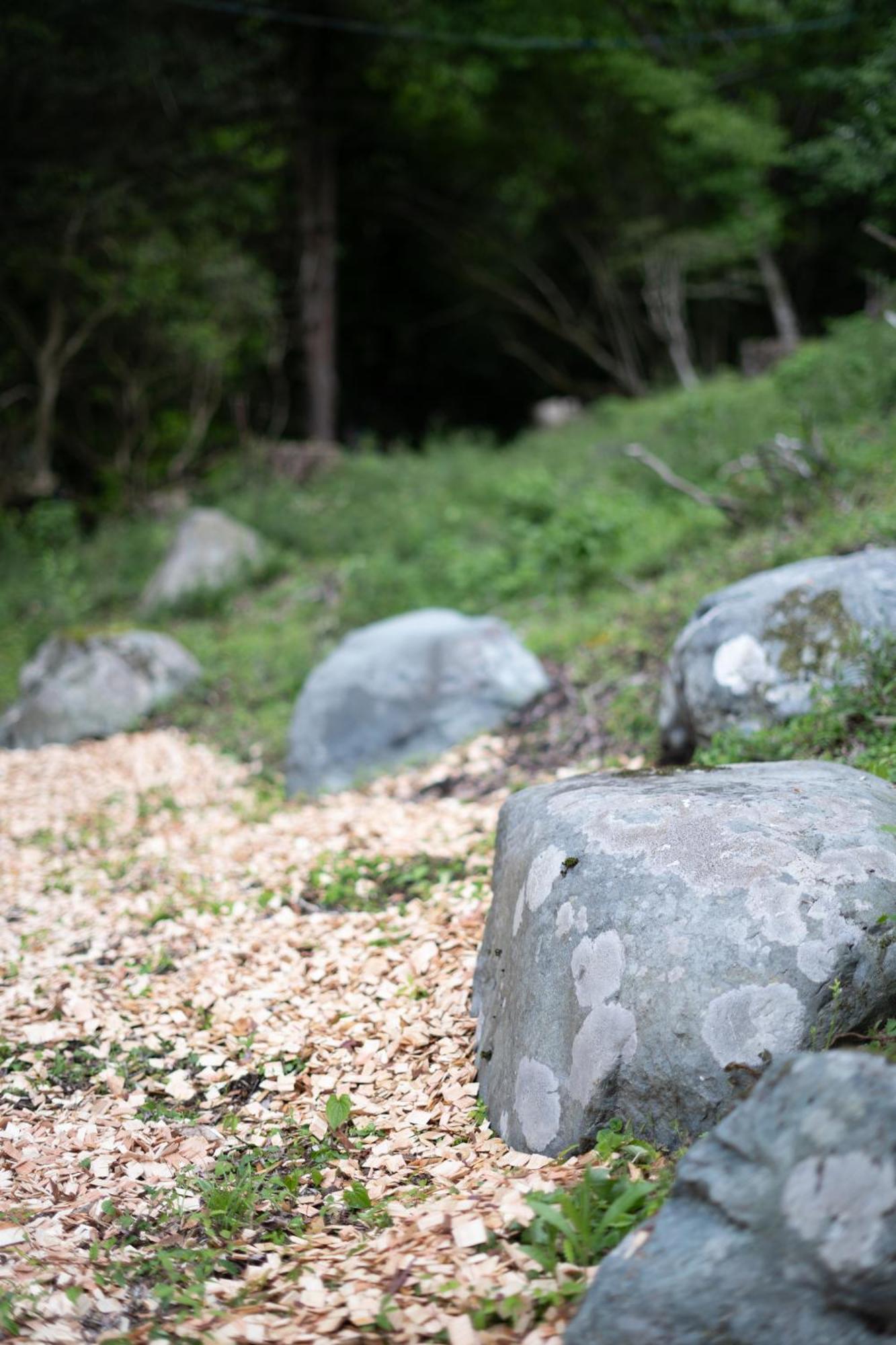 Aknot Hakone 大涌谷を望むモダニズム建築 東京から90分 Exterior foto